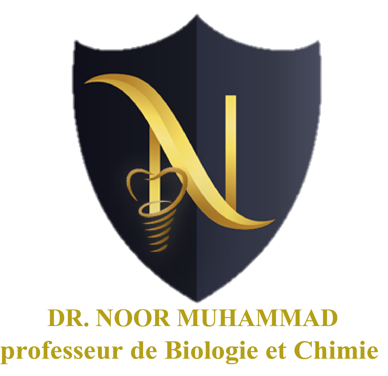 Dr. Noor Academy